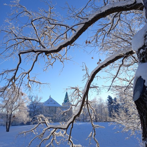 Любимая обитель Николая II в Царском селе — из Петербурга