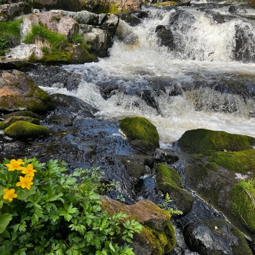 Кольский фьорд и великолепие водопадов