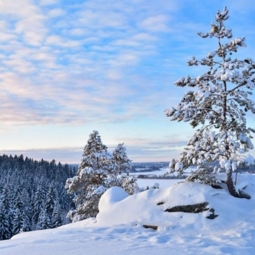 Карелия в белом наряде: зимняя сказка в Петрозаводске, Приладожье и парке «Рускеала»