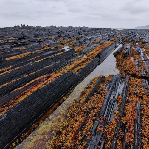 Заповедная территория: к океану на гигантской машине с проживанием в кемпинге