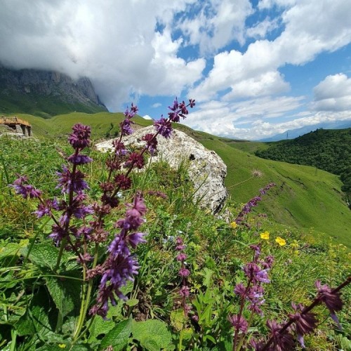 Этот головокружительный Кавказ: прогулки по Северной Осетии и Ингушетии