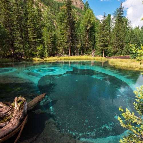 Май — пора на Алтай: Телецкое озеро, Патмос и Чуйский тракт