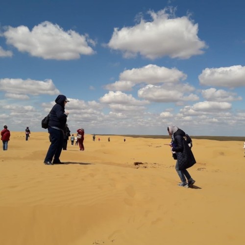 В Элисту из Волгограда на автобусе: вальс тюльпанов, этнопрограмма, мастер-классы и «Страна Бумба»