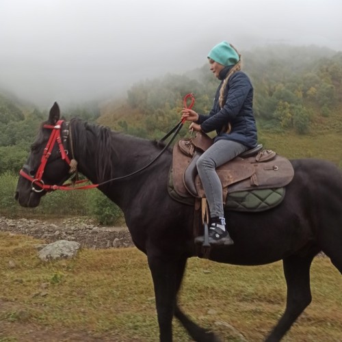 3 дня в Чечне: индивидуальное путешествие с экскурсиями на выбор