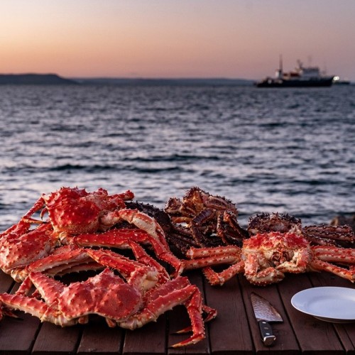 Большое путешествие по Камчатке: вулканы, глэмпинг в Мёртвом лесу и круиз в бухту Русская