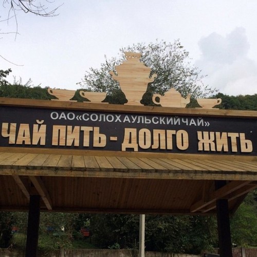 Неизведанный Дагомыс: поездка из Сочи