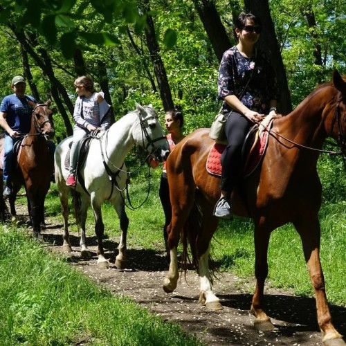 Конная прогулка по окрестностям Адлера
