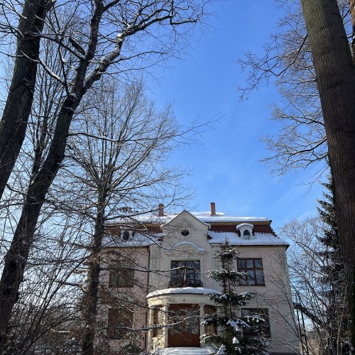 От вилл Амалиенау — в антикварную лавку: мастер-класс по работе со старинными предметами