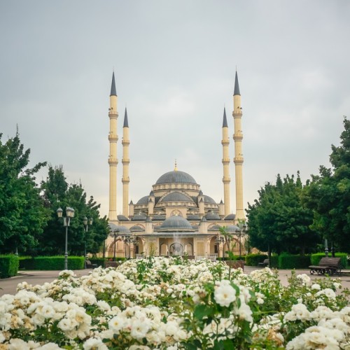 На поезде к жемчужинам Кавказа: города, горы, кухня, традиции 5 республик