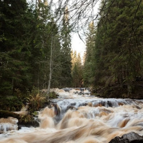 Знакомство с Карелией: хаски, олени, водопады и горный парк «Рускеала» (в группе)