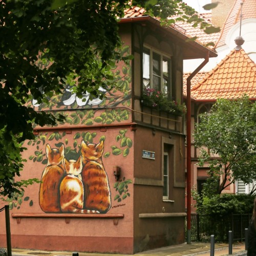 Авторское фотопутешествие по Куршской косе и Зеленоградску