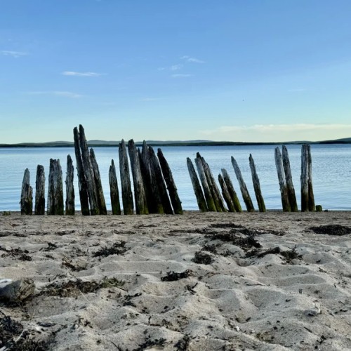 2 дня — 2 моря: к берегам Баренцева и Белого в мини-группе