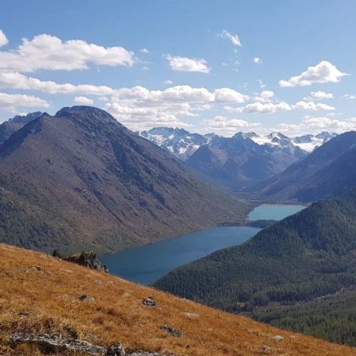 По озёрам, горам и степям с комфортом: 4 дня на Алтае