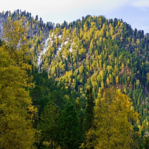 Топовые места Алтая в мини-группе: Гейзерное озеро, Чуйский тракт, долина Горных духов и Патмос