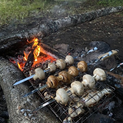 На сапбордах по реке Оредеж в мини-группе со съёмкой