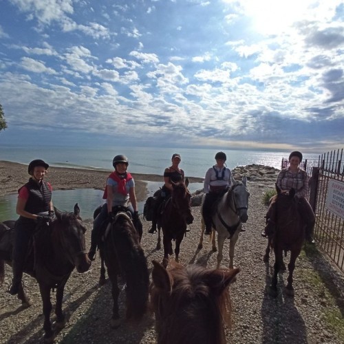Конные прогулки для уверенных всадников: горы, море, чайные плантации и реликтовые леса Сочи