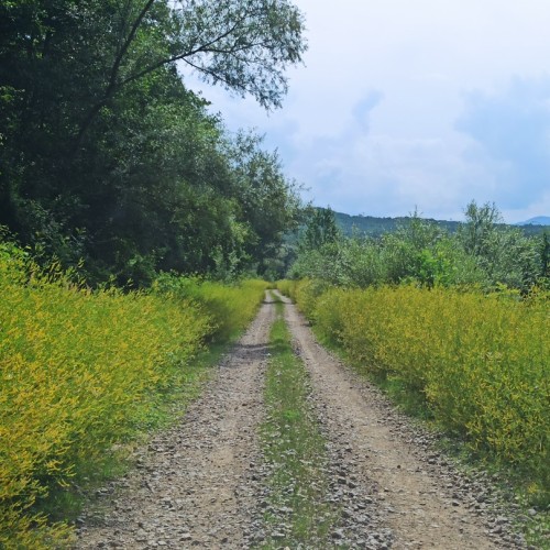 Маршрут №30: поход через горы к морю