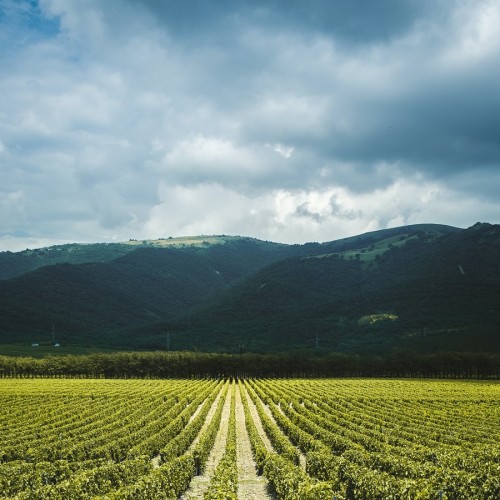 Мотопутешествие по черноморскому побережью (индивидуально)
