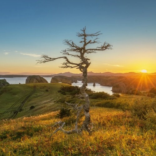 Шикотанский трип: тур по главным островным достопримечательностям