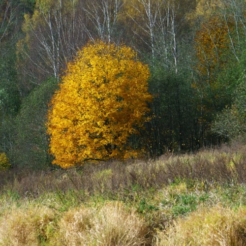 Выходные на Угре: рыбалка с обучением и отдых на природе (всё включено)