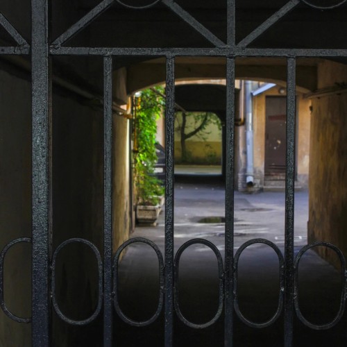 Тихий центр Петербурга: пешеходная экскурсия + подъём на крышу