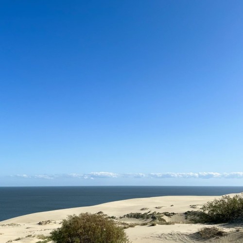 Уютное фотопутешествие на Куршскую косу — из Калининграда на машине