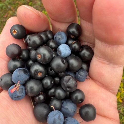 Там с коптера видны вулканы: экспедиция по Камчатке с выходом в море