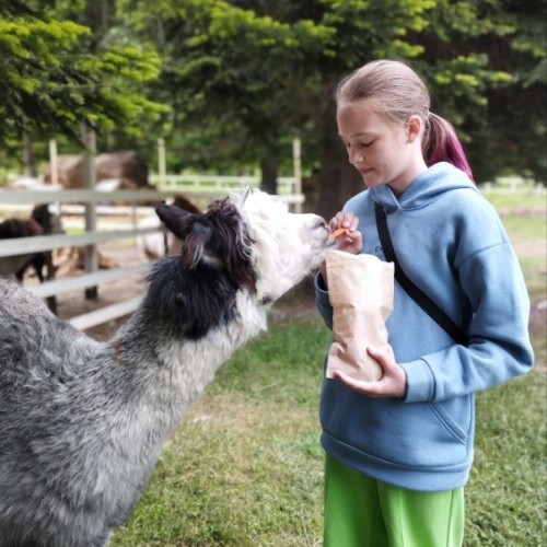 Семейный тур в Архыз с гидом-аниматором: несложные треккинги в живописных горах