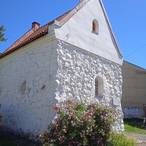 Уик-энд в Выборге с дегустациями, увлекательными историями и посещением Монрепо (мини-группа)