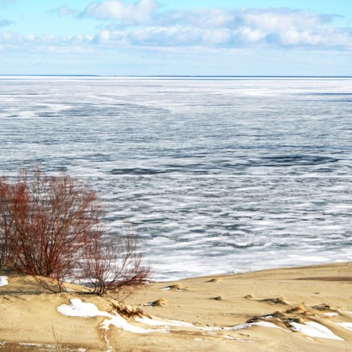 По популярным местам Калининграда и области: тур с длительностью на ваш выбор и заездом в любой день