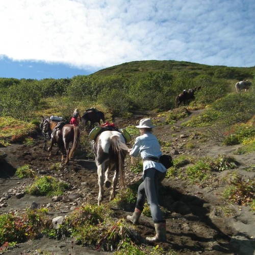 Камчатский максимум: конные прогулки, джипы, вулканы и рыбалка в Тихом океане