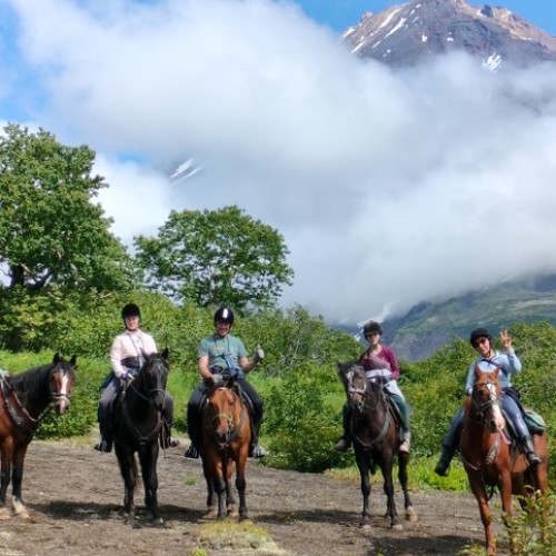 На лошадях к Корякскому вулкану с палатками. Всё включено