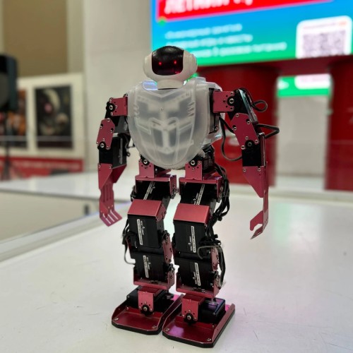 Экскурсия на выставку роботов «Робостанция»