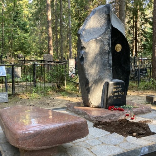 Лесная сторона Комарово: от дач до «будки» Ахматовой