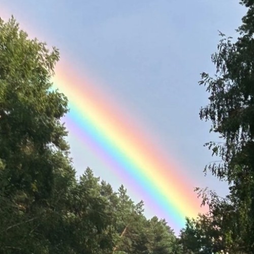 Вдохновение Алтая: ретрит в женской мини-группе с проживанием в уединённых домиках