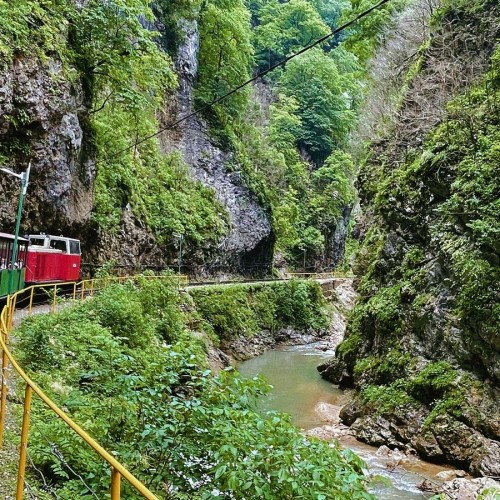 Гуамское ущелье + термальные источники