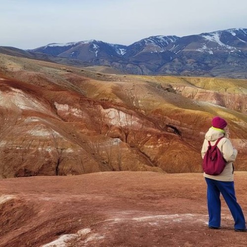 Сиреневые горы, Алтай и май: главные места во время цветения маральника в мини-группе (всё включено)