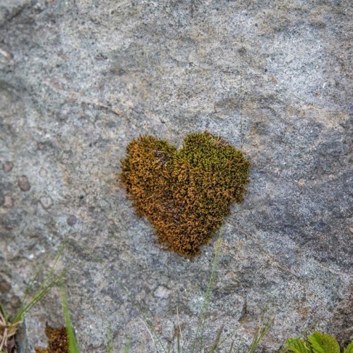 Большое путешествие по островам: Сахалин и Итуруп, Кунашир и Шикотан