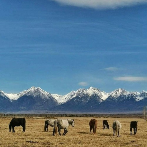 Влюбиться в Байкал: Ольхон, Листвянка и лучшие локации только для вас