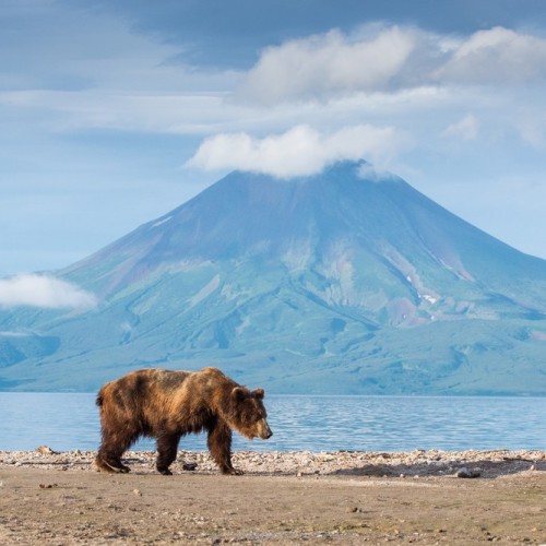Увидеть душу Камчатки: джип-тур по неизведанным местам с круизом по Курильскому озеру (всё включено)