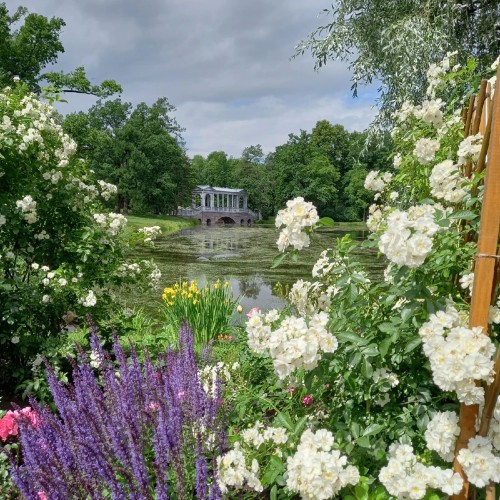 Там, где рождаются поэты: из Петербурга в Пушкин
