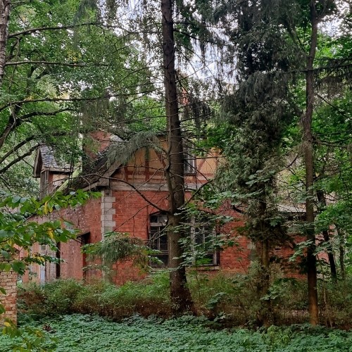 «На задворках Царского Села»: авторская аудиоэкскурсия