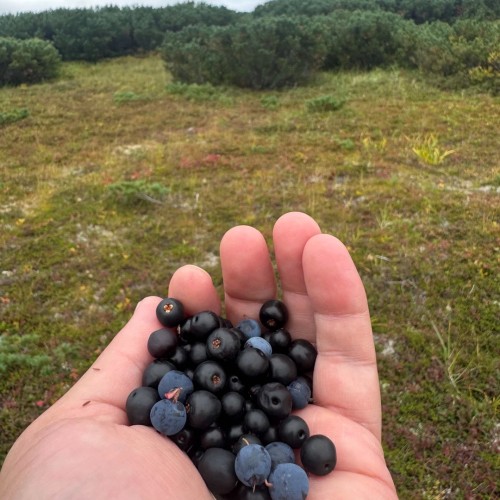 Там с коптера видны вулканы: экспедиция по Камчатке с выходом в море