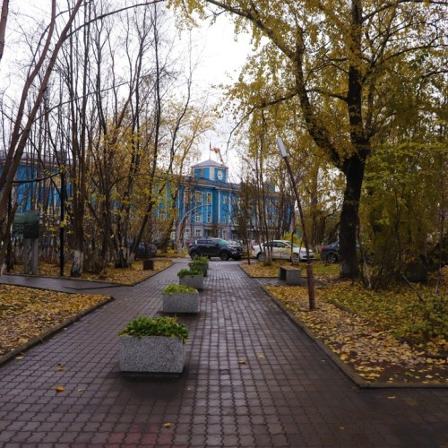 На Кольский в поисках китов и дельфинов мини-группой