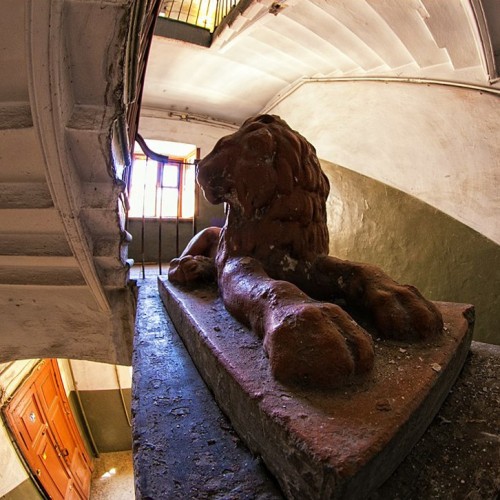 Прогулка со Смертью по Васильевскому острову