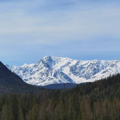 Фототур по золотому Алтаю в мини-группе: всё главное в живописный период