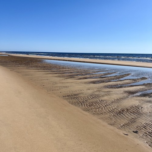 Индивидуальный джип-выезд по Терскому берегу в формате «всё включено»