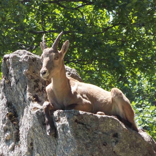 Отдых на водах: спа-тур на Кавказ с купанием в термах и отелем 4*. Домбай, Эльбрус и города КМВ