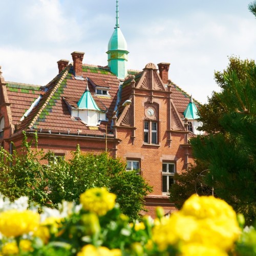 Индивидуальное путешествие по Калининграду и балтийским берегам