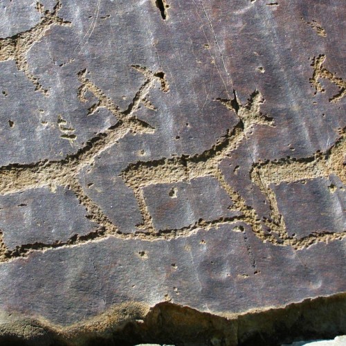 Перезагрузка на Алтае только для вас: «Марс-2», Гейзерное озеро и другие природные чудеса